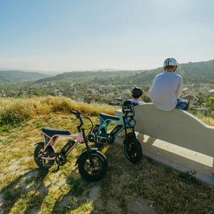 Small Electric Bike vs Full-Size Ebike: Which Should You Buy?